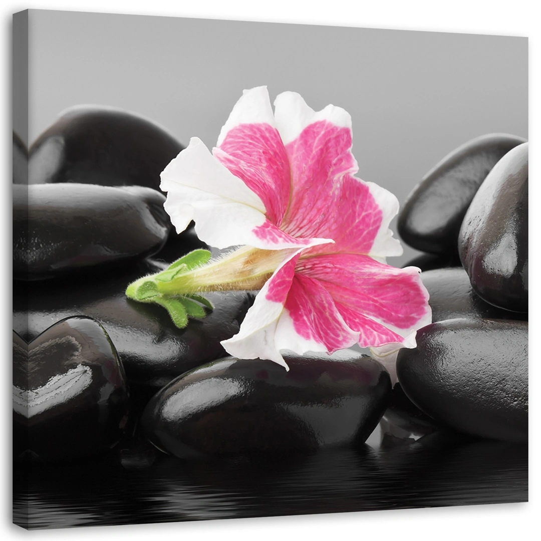 Canvas print, Pink flower on stones