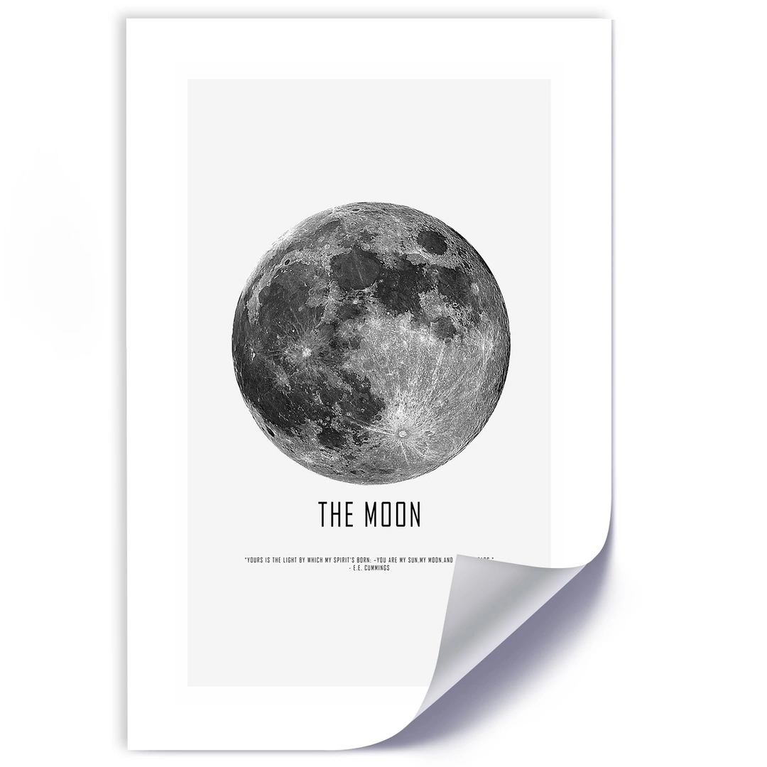 Poster, Moon