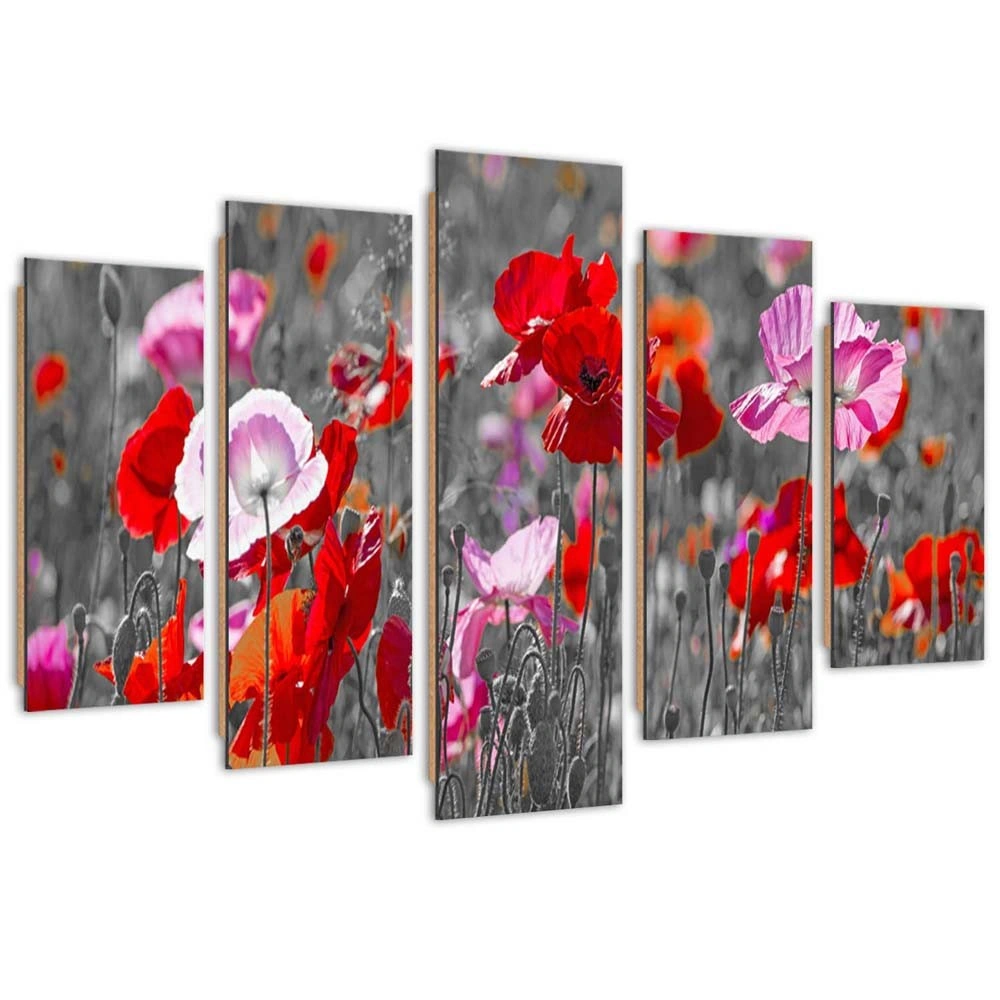 Five piece picture deco panel, Poppies on a spring meadow