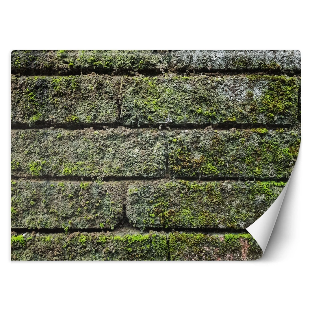 Wallpaper, Overgrown brick wall