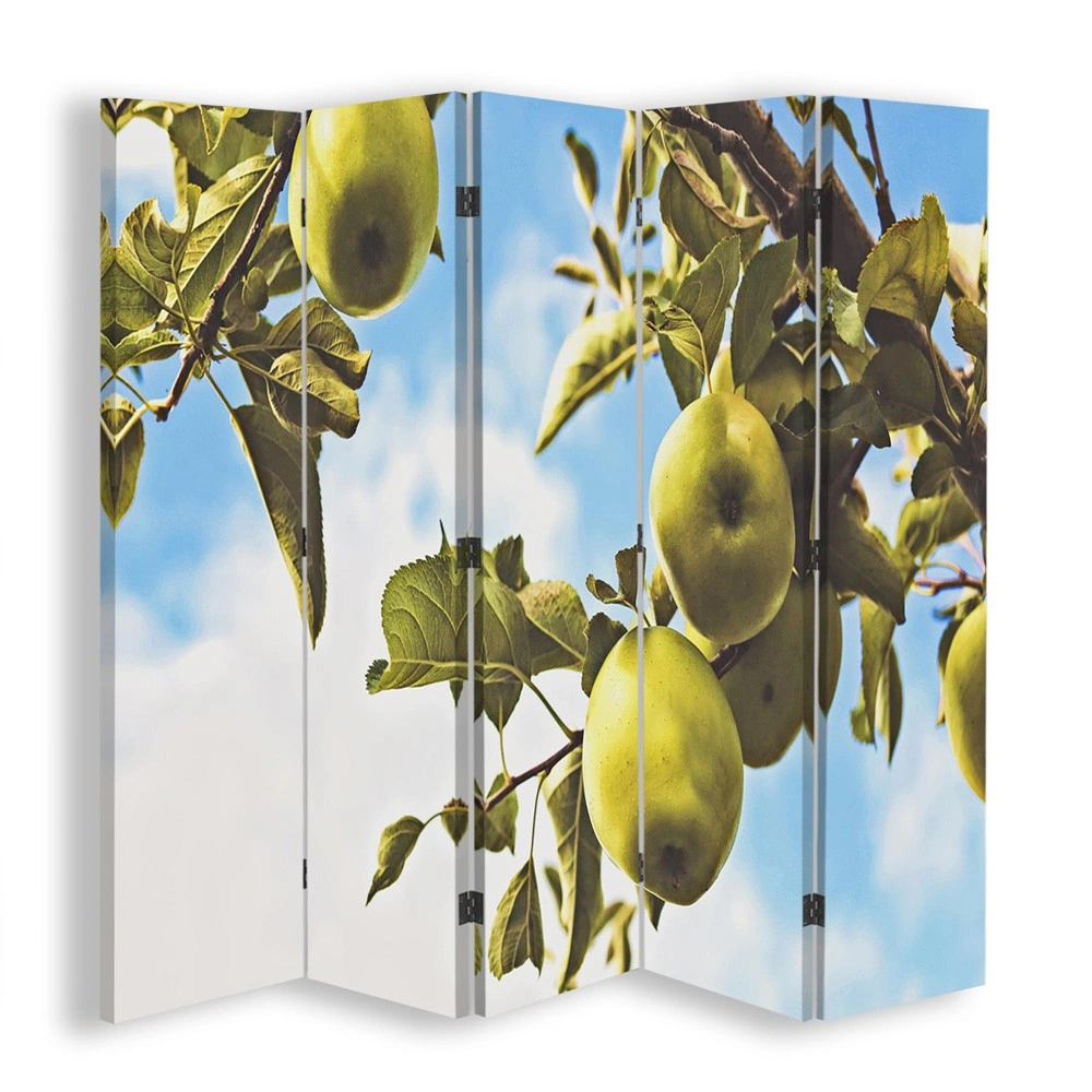 Room divider Double-sided, Apples on a branch