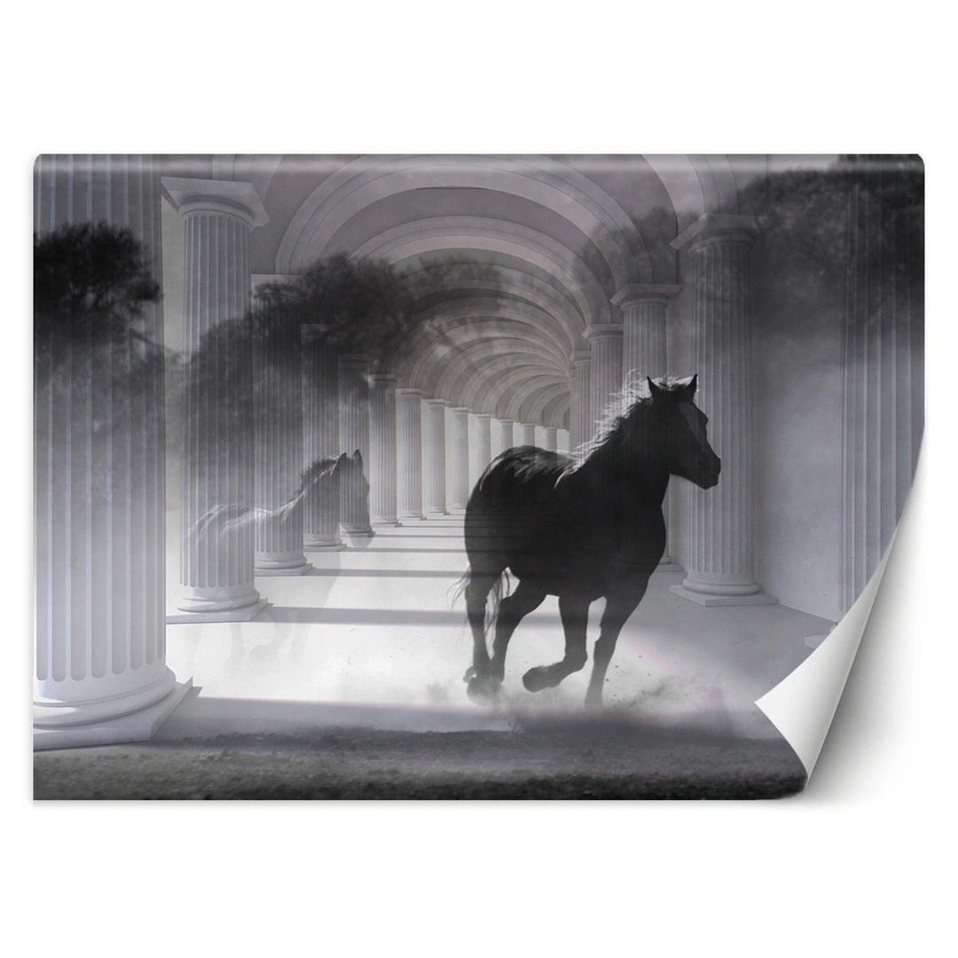 Wallpaper, Running horse 3D effect