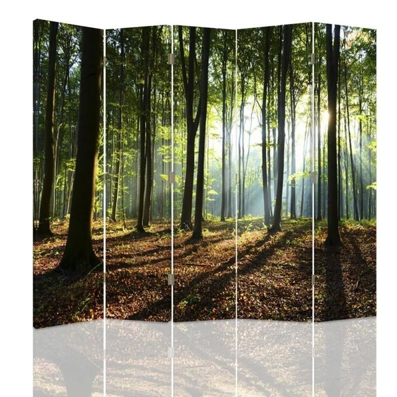 Room divider Double-sided, Sun rays in the forest