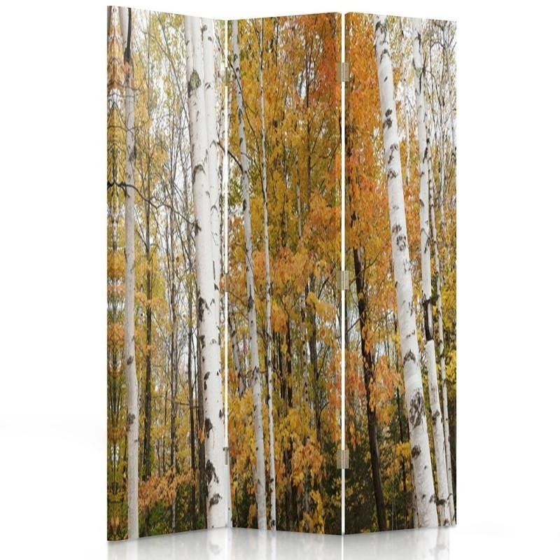 Room divider Double-sided rotatable, Birch grove in autumn