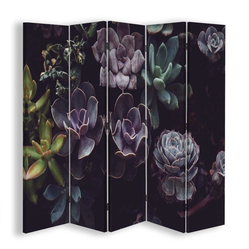 Room divider Double-sided, Succulents in muted shades