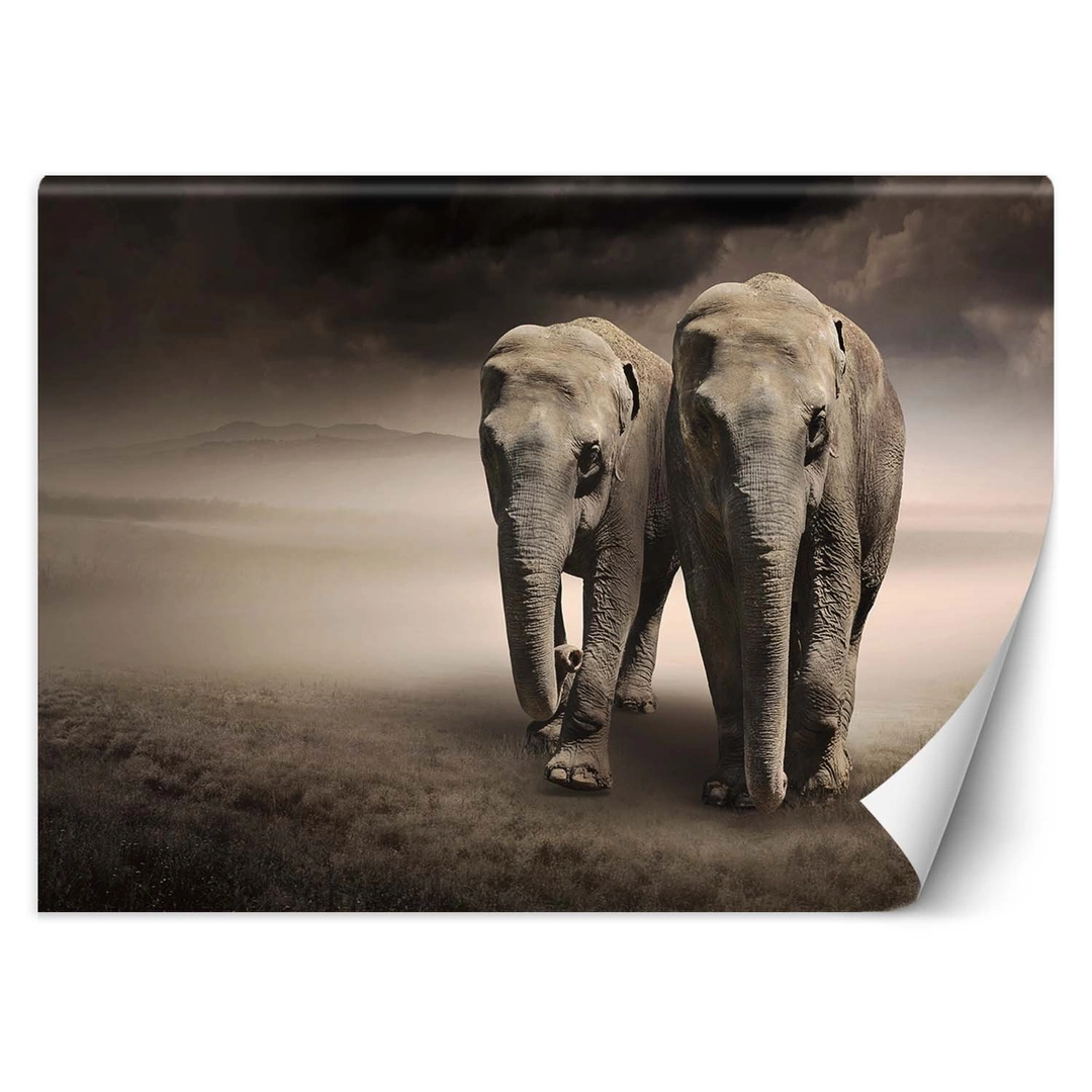 Wallpaper, Pair of elephants