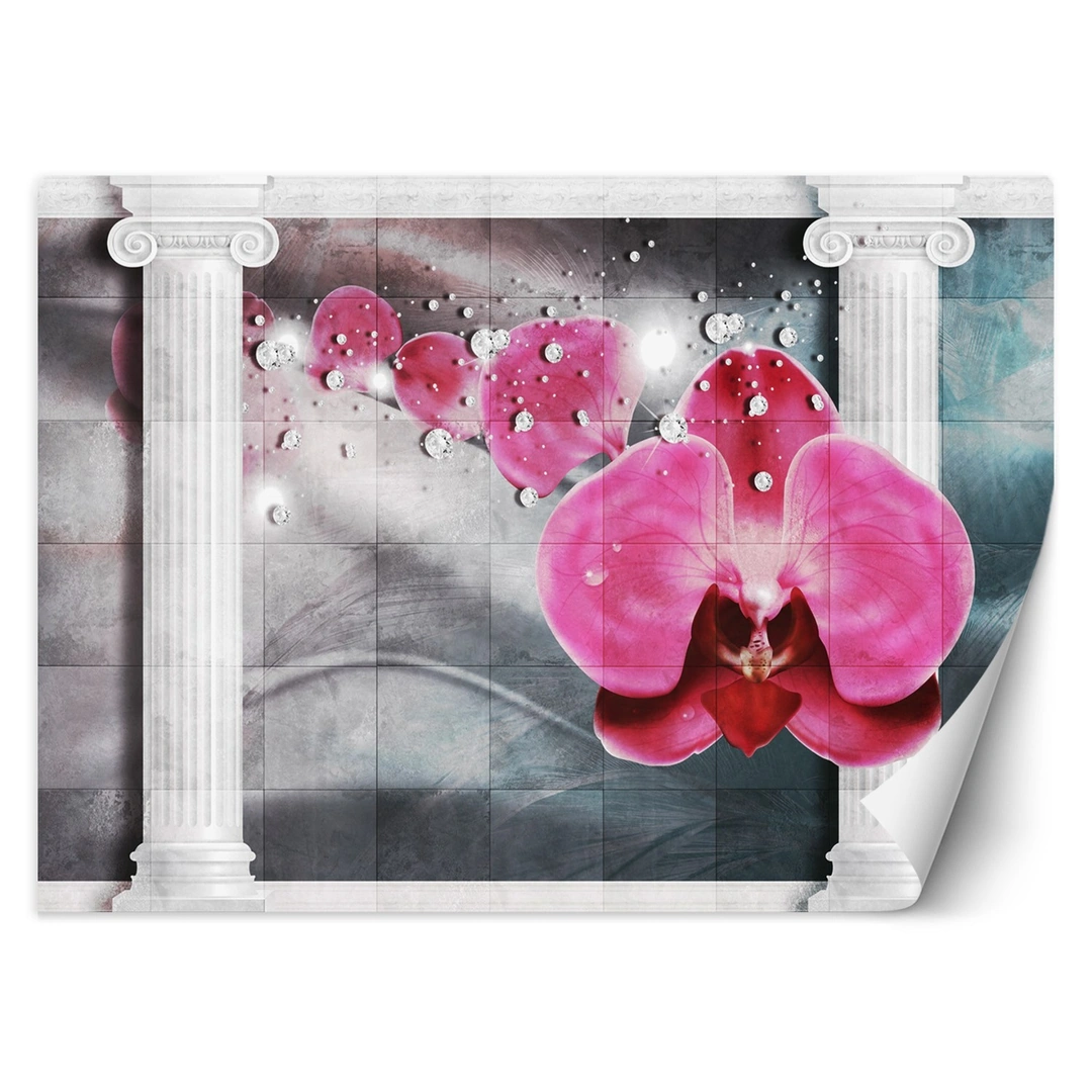Wallpaper, Pink orchid flower