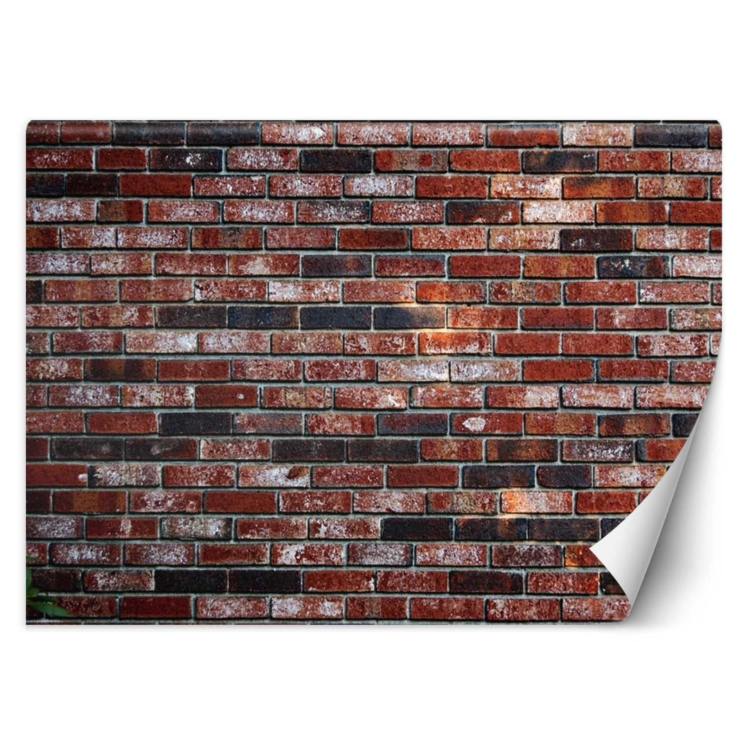 Wallpaper, Red brick wall