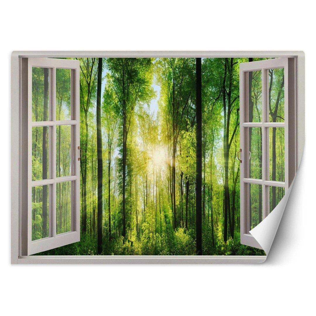 Wallpaper, Window - sunrays in the forest