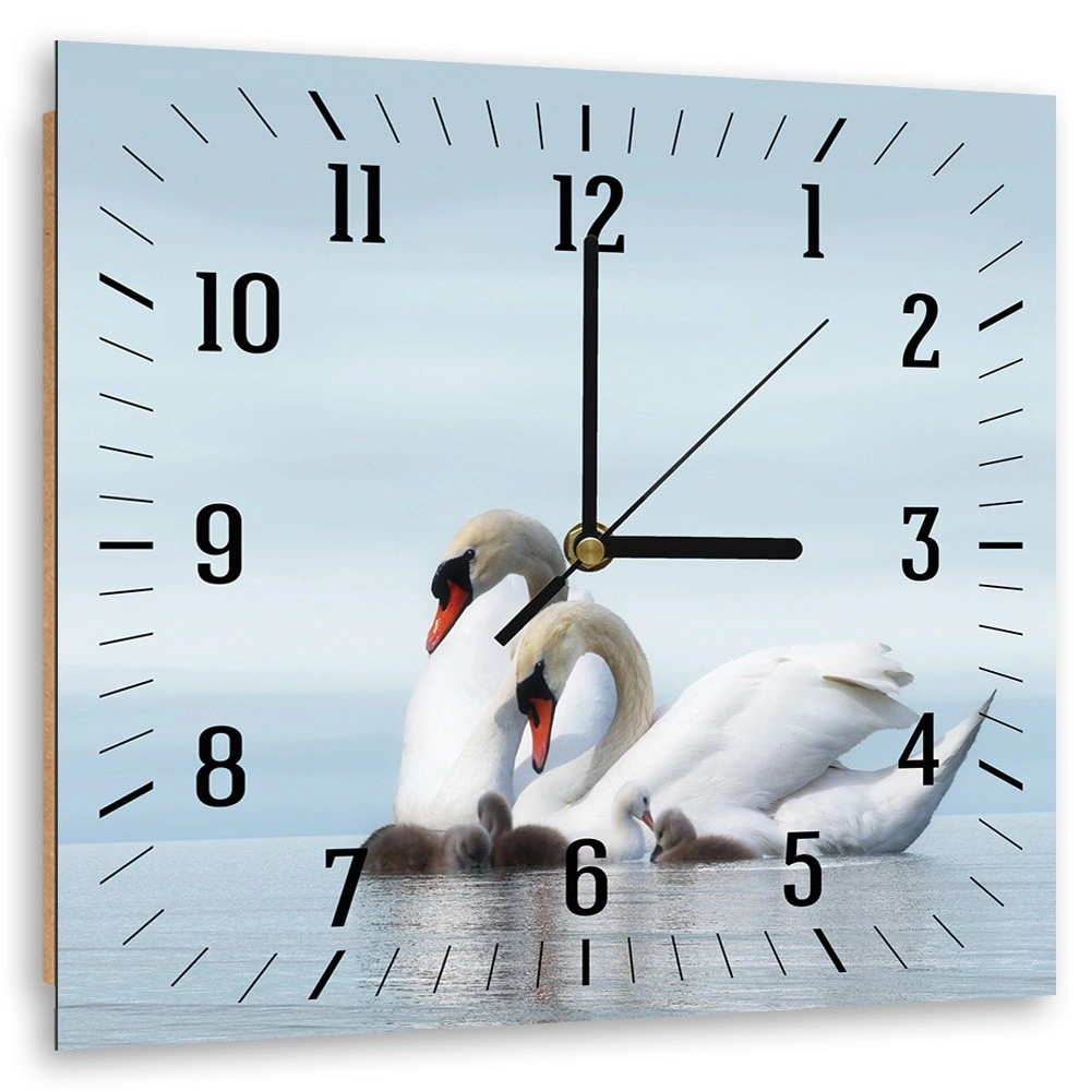 Wall clock, Family of swans