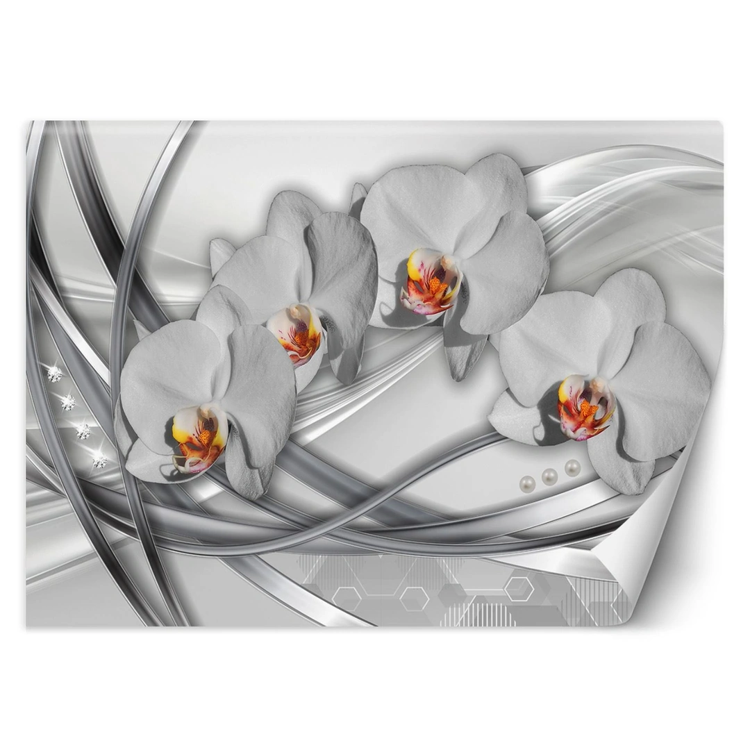 Wallpaper, Abstract orchids