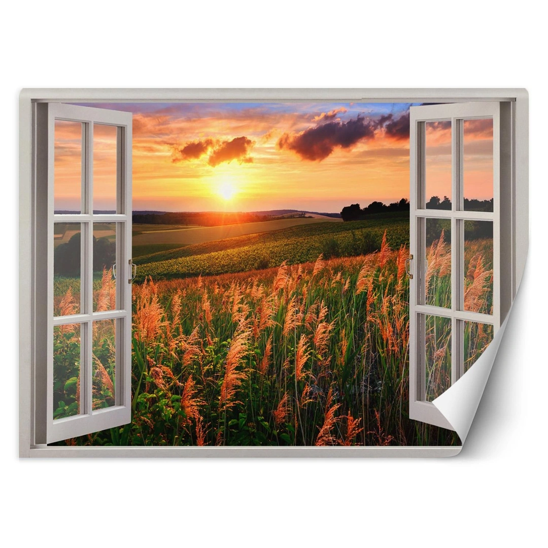 Wallpaper, Window - view of sunset over the meadow