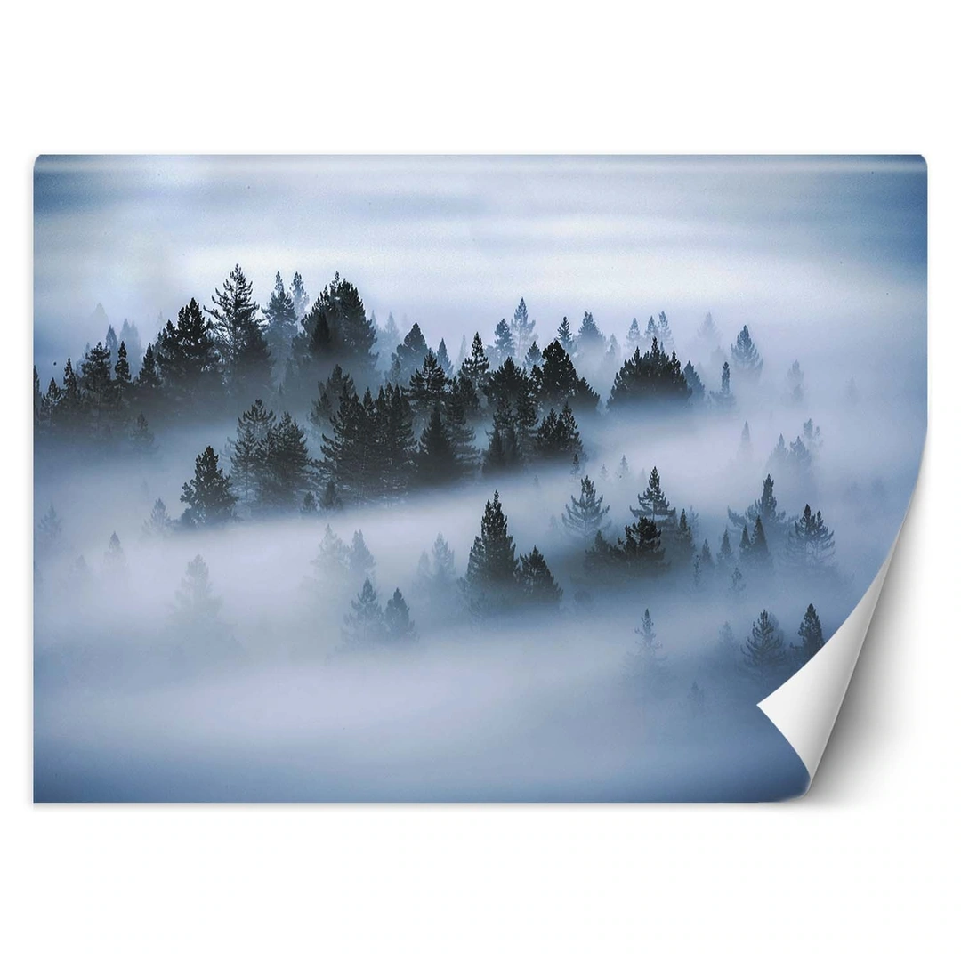 Wallpaper, Forest in mist