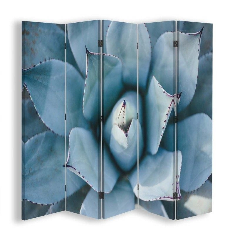 Room divider Double-sided, Agave from above