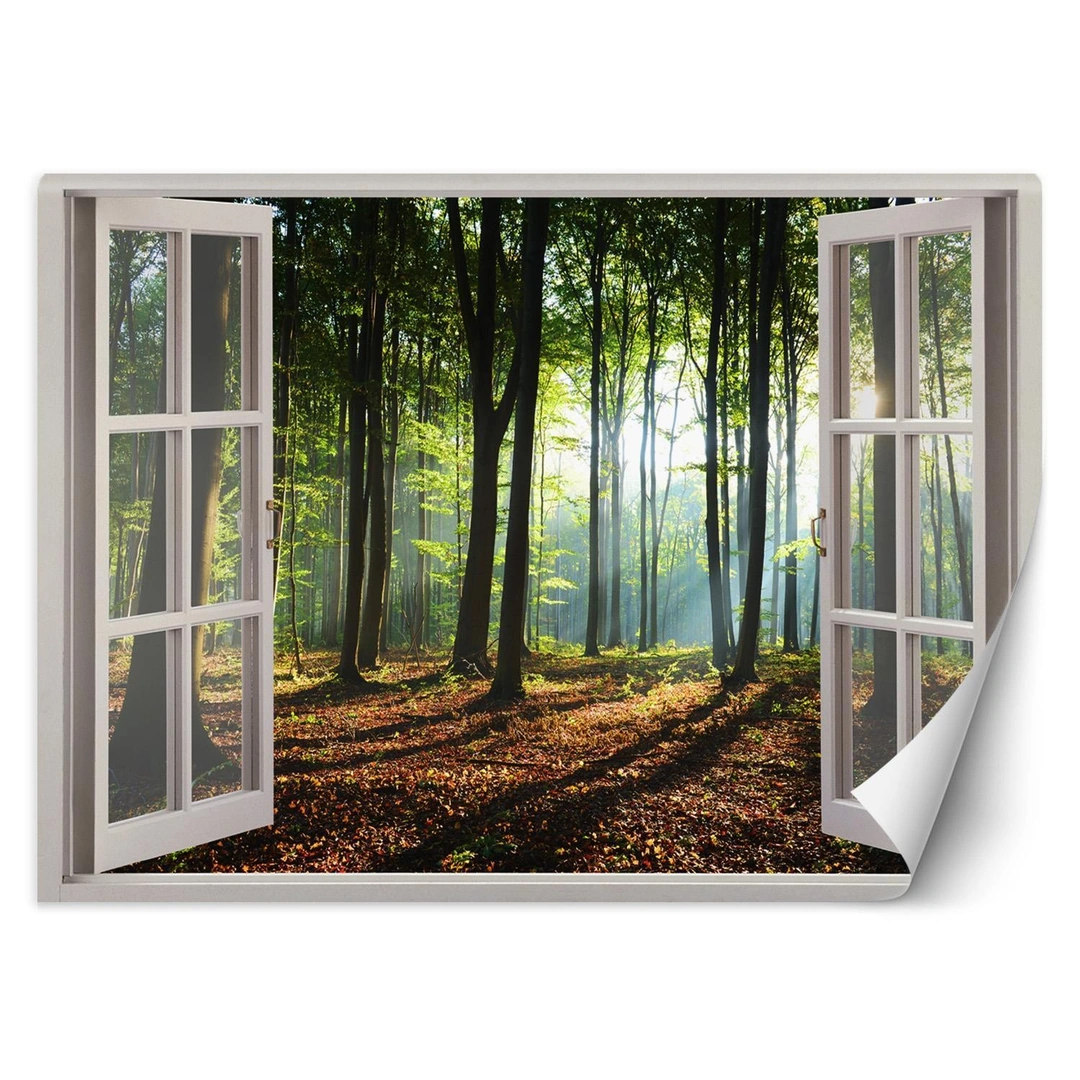 Wallpaper, Window - morning in the forest
