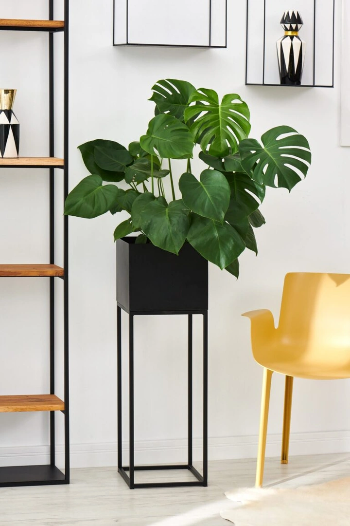 LOFT flower bed with flower pot