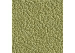 Natural Leather Pistachio
